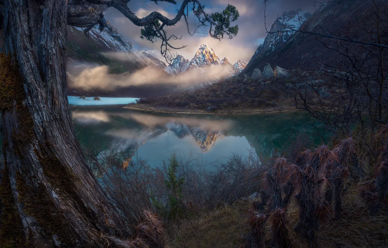 Photo wallpaper mountains, lake, pine