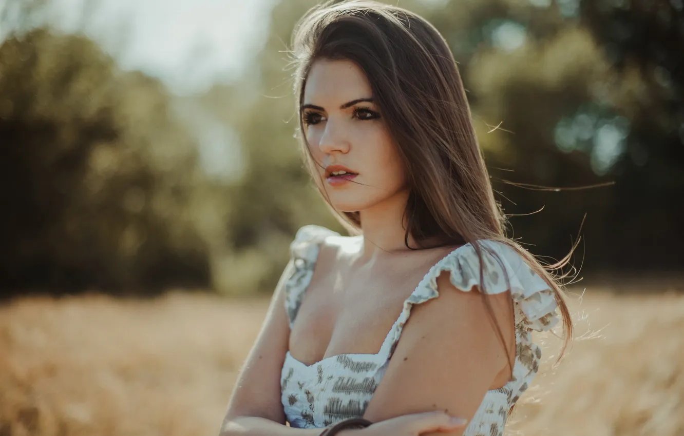 Photo wallpaper the sun, trees, model, portrait, hands, makeup, dress, hairstyle