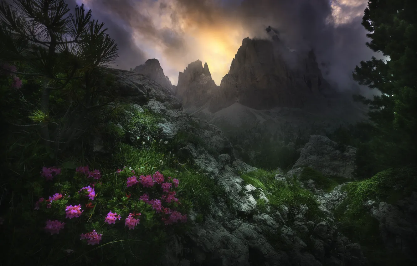 Photo wallpaper the sky, trees, flowers, mountains, branches, clouds, nature