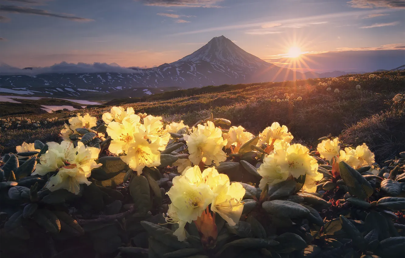 Photo wallpaper the sun, rays, landscape, flowers, mountains, nature, morning, the volcano