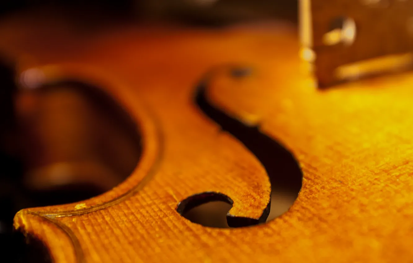 Photo wallpaper macro, violin, cello, DECA
