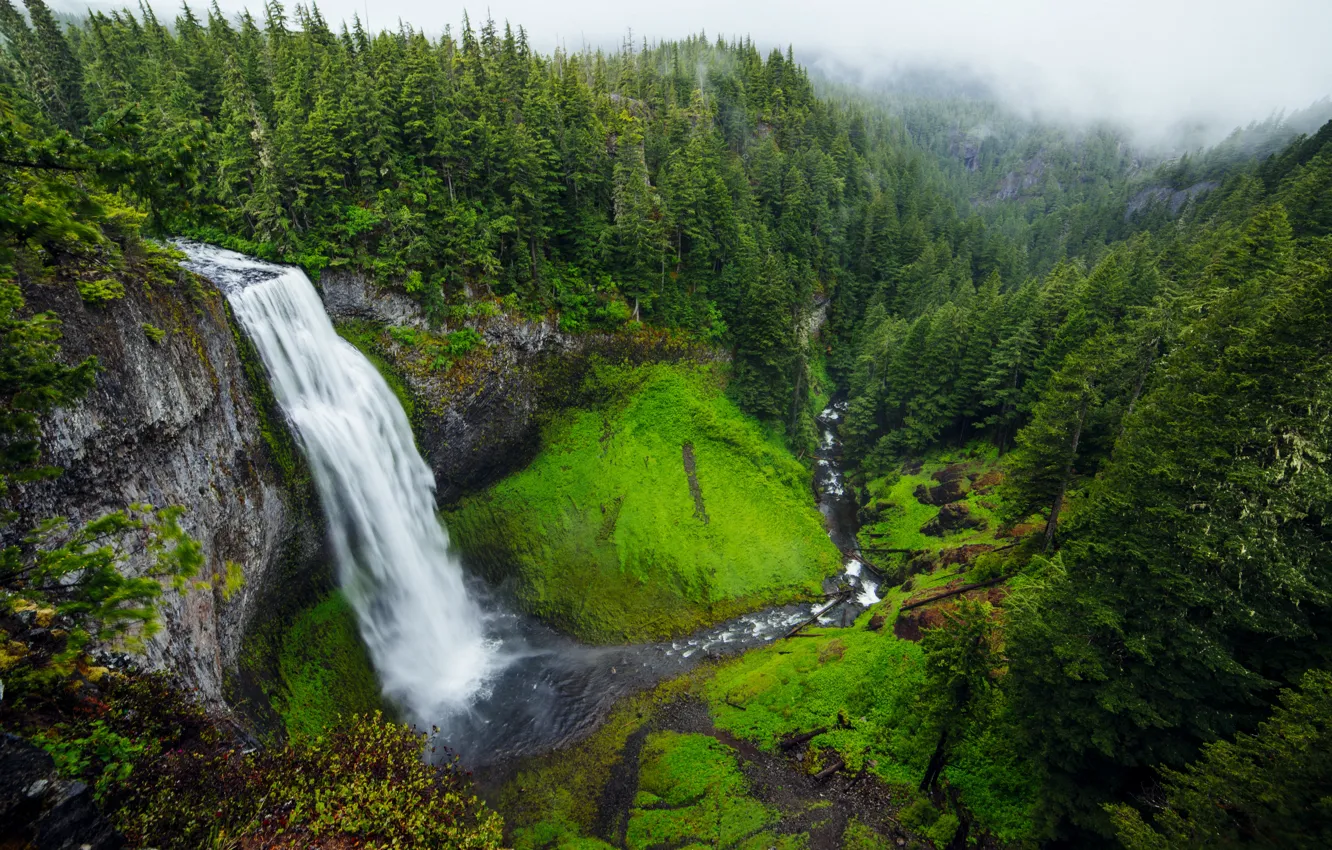 Photo wallpaper waterfall, United States, Andrew Coelho, Salt Creek Falls