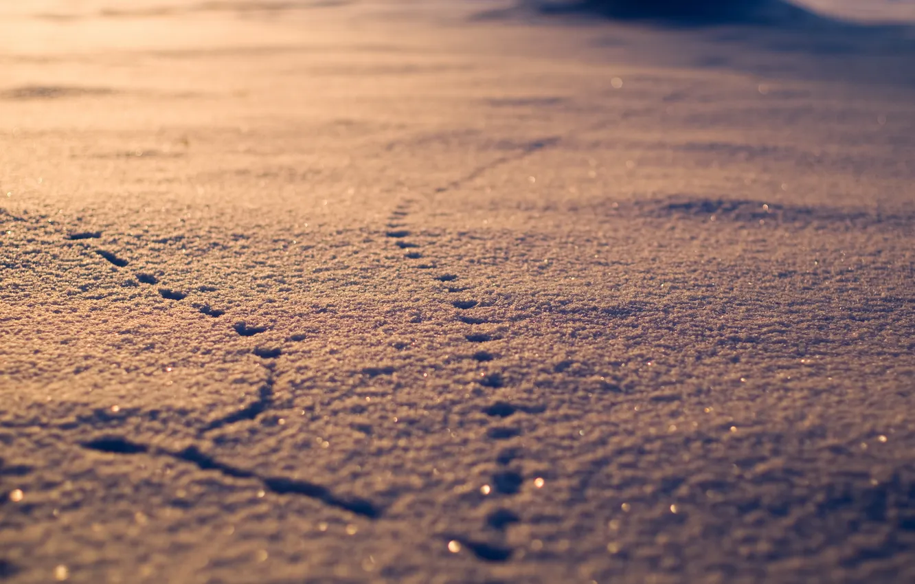 Photo wallpaper winter, snow, sunset, traces