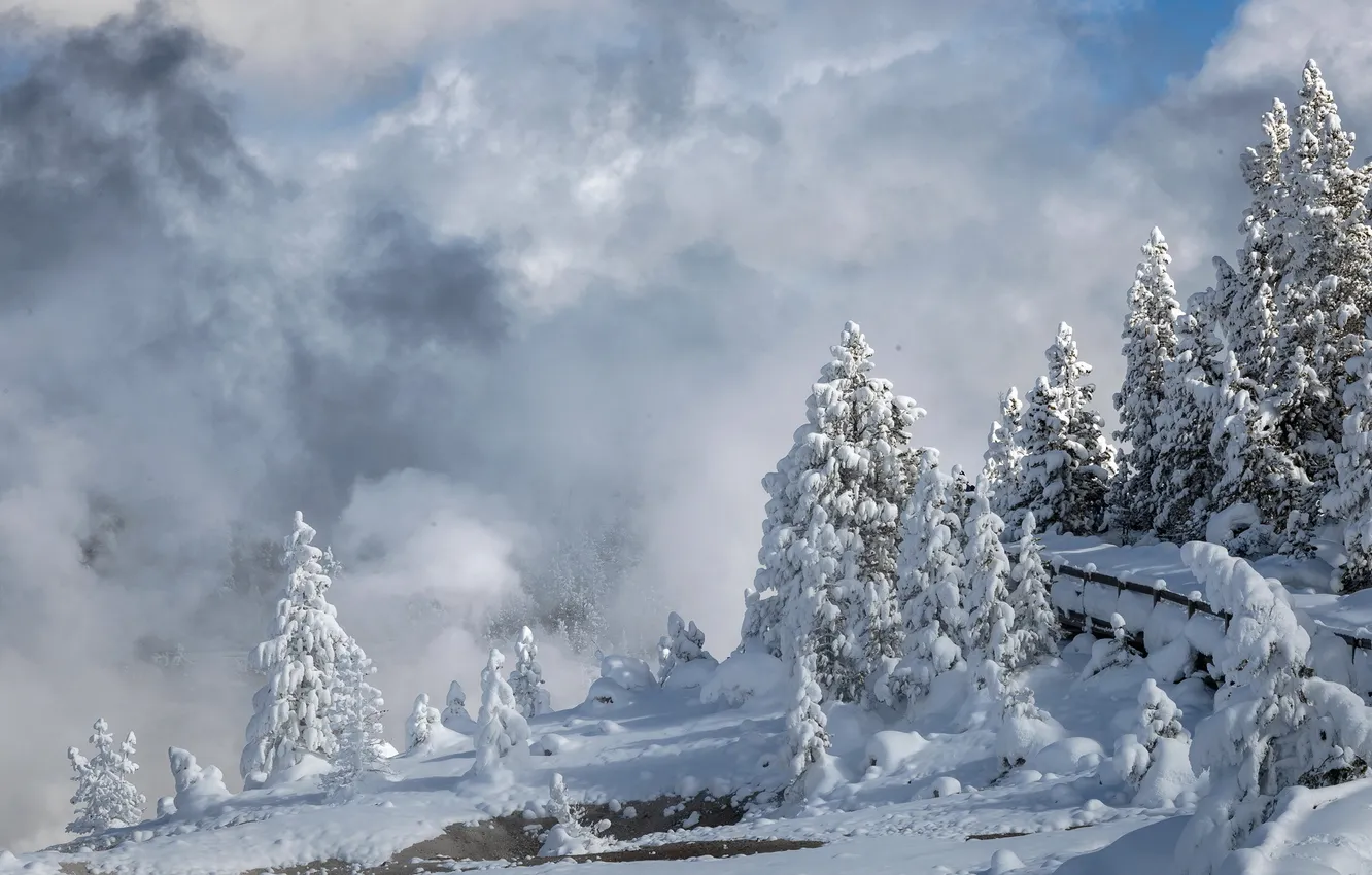 Photo wallpaper winter, Yellowstone National Park, Porcelain Basin