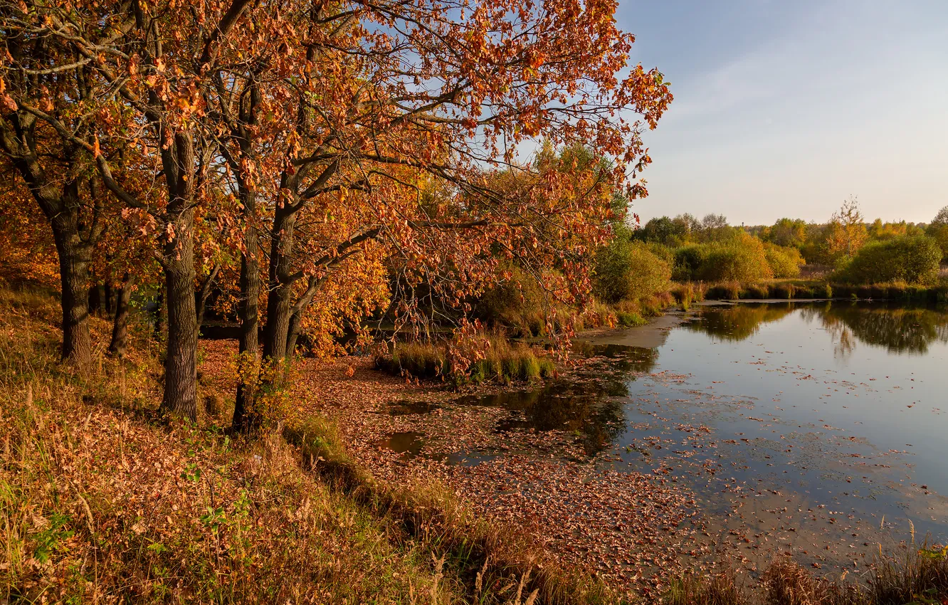 Photo wallpaper autumn, trees, landscape, lake