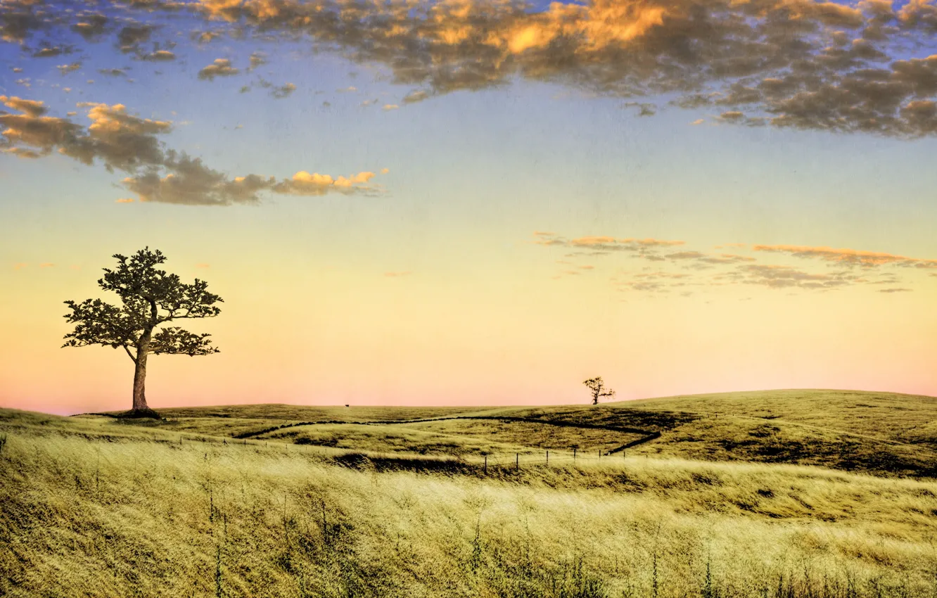 Photo wallpaper landscape, style, background