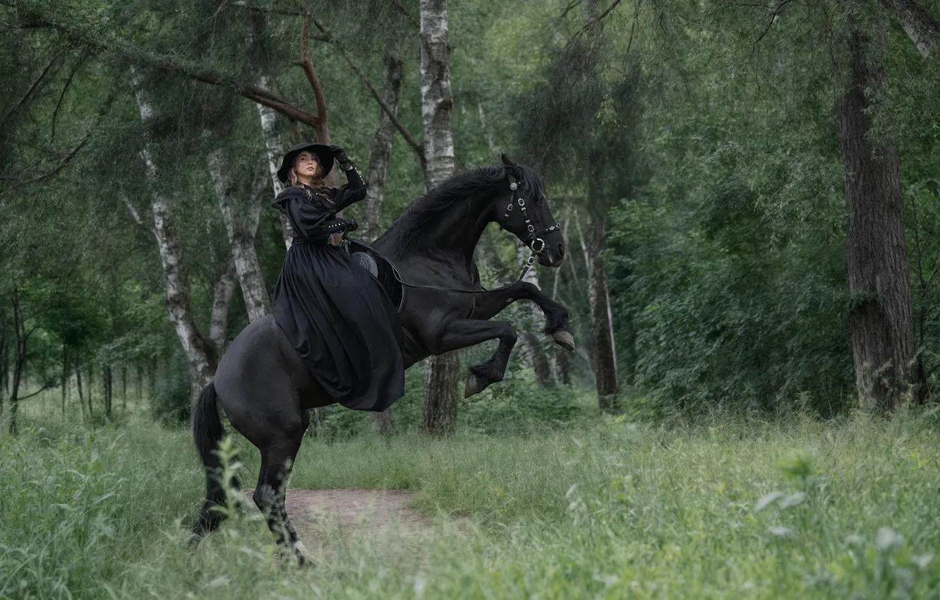 Photo wallpaper trees, animal, horse, glade, rider, hat, rider, black dress