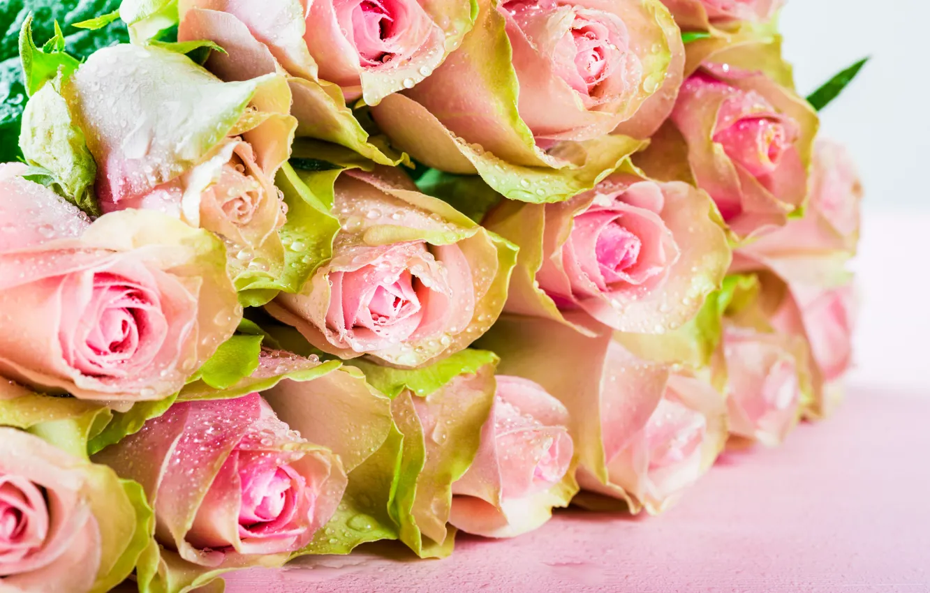 Photo wallpaper water, drops, roses, bouquet, pink