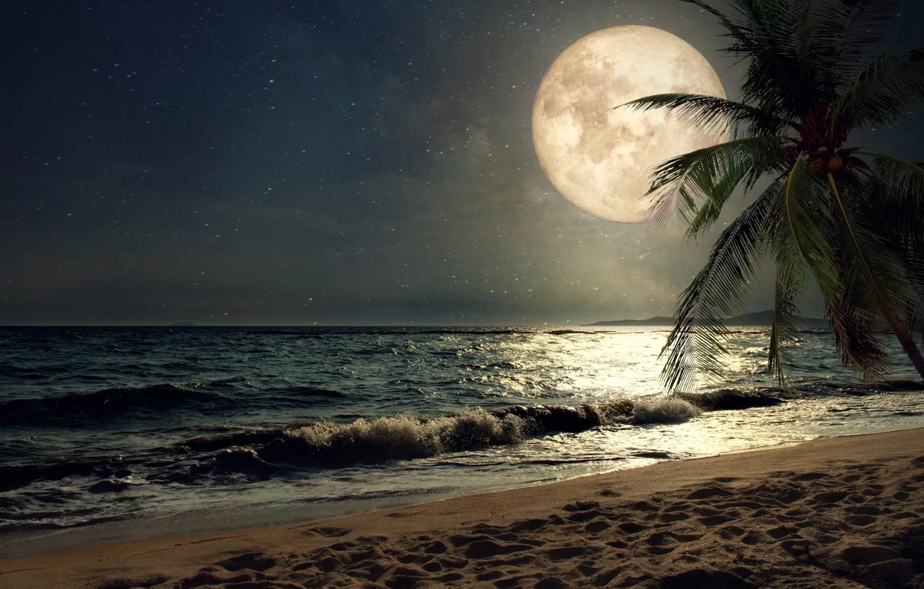 Photo wallpaper beach, ocean, scenic, full moon