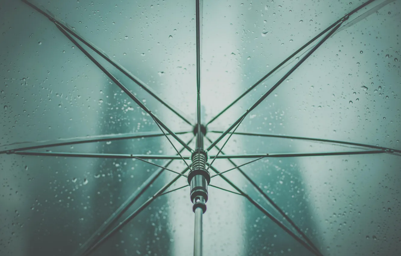 Photo wallpaper drops, rain, umbrella