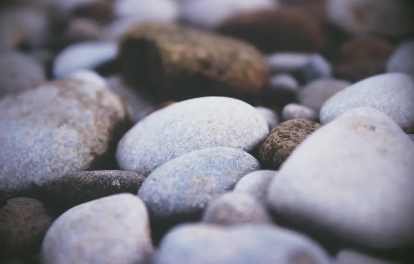 Photo wallpaper pebbles, stones, a lot