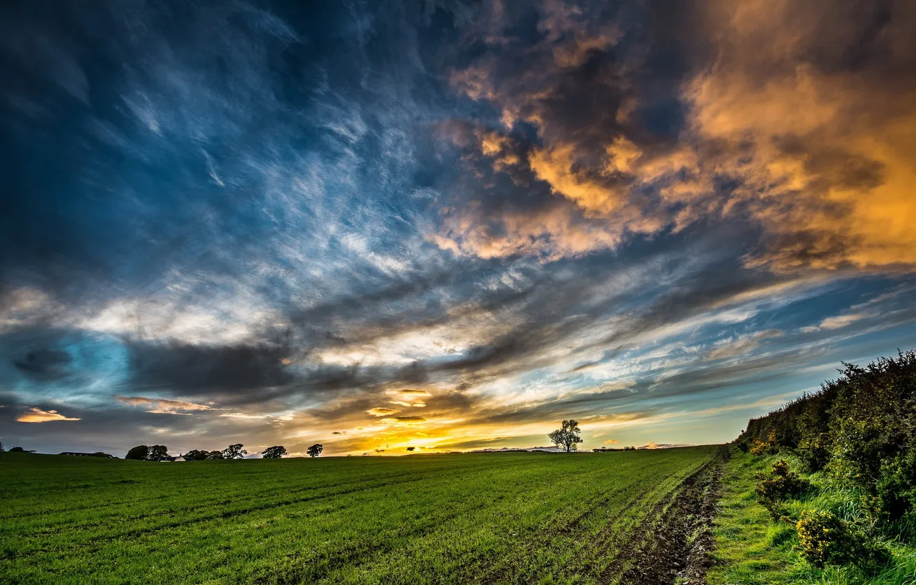 Photo wallpaper field, the sky, morning