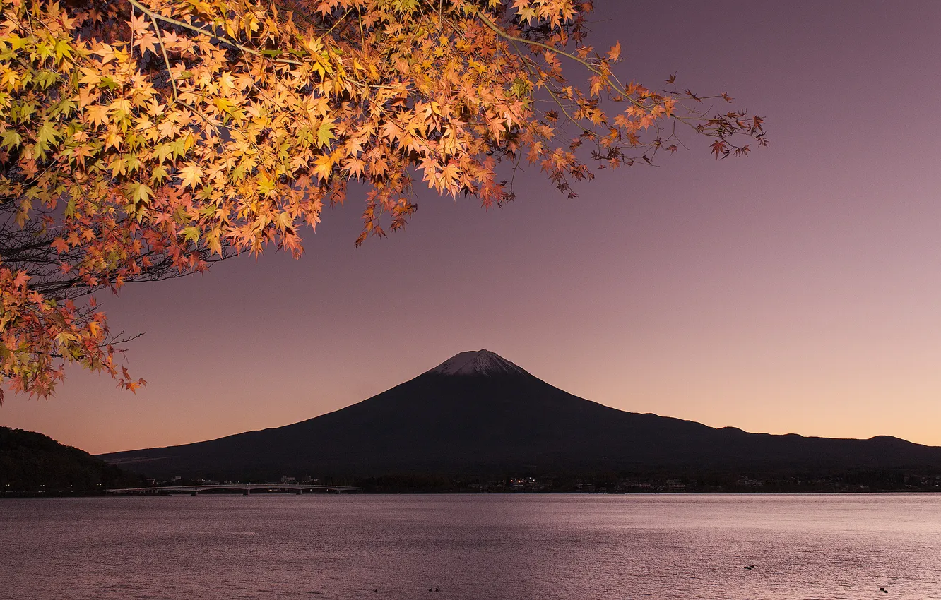 Photo wallpaper autumn, the sky, leaves, bridge, lake, mountain, branch, Japan