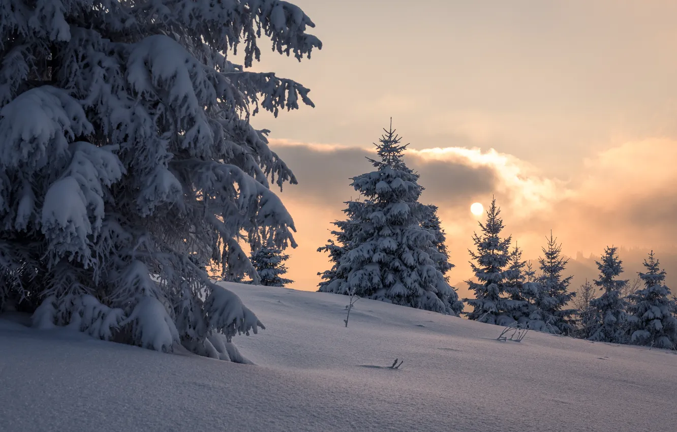 Photo wallpaper winter, snow, trees, landscape, sunset, mountains, nature, ate