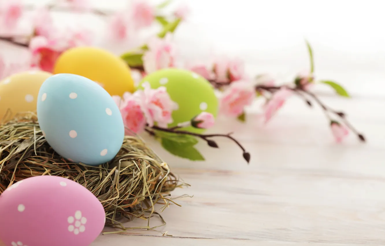 Photo wallpaper flowers, holiday, eggs, branch, spring, yellow, blue, green