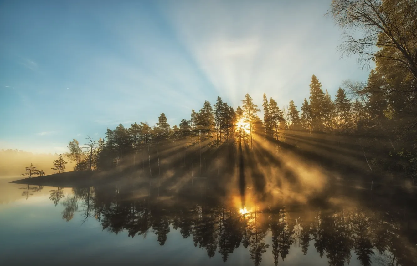 Photo wallpaper landscape, nature, fog, lake, morning