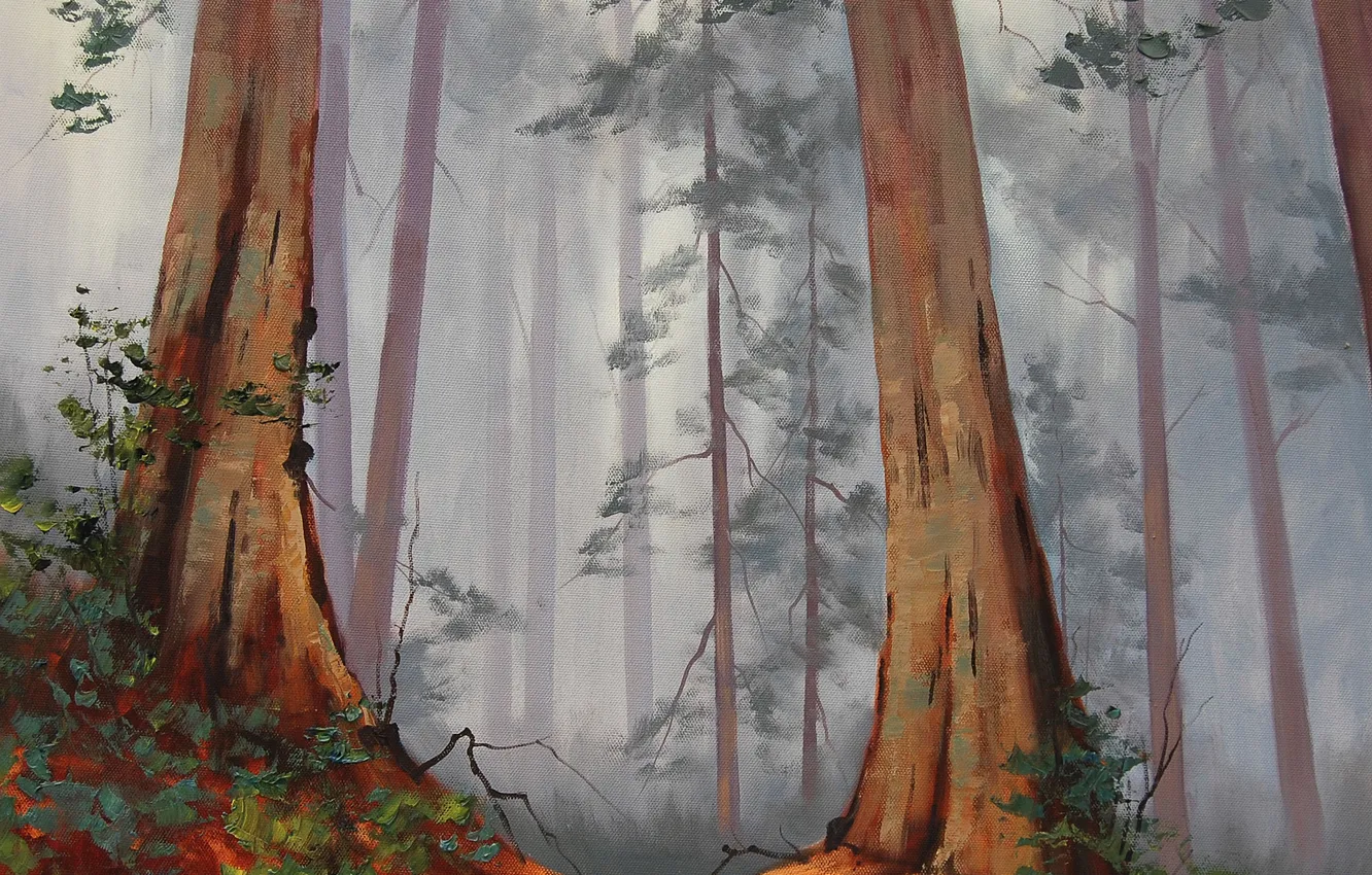 Photo wallpaper figure, art, ARTSAUS, GIANT REDWOODS