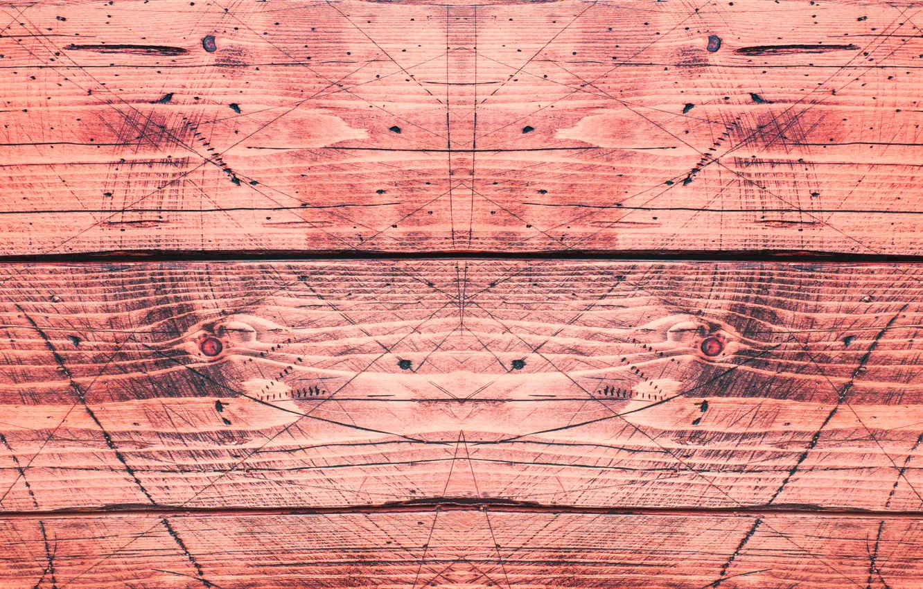 Photo wallpaper line, tree, geometry
