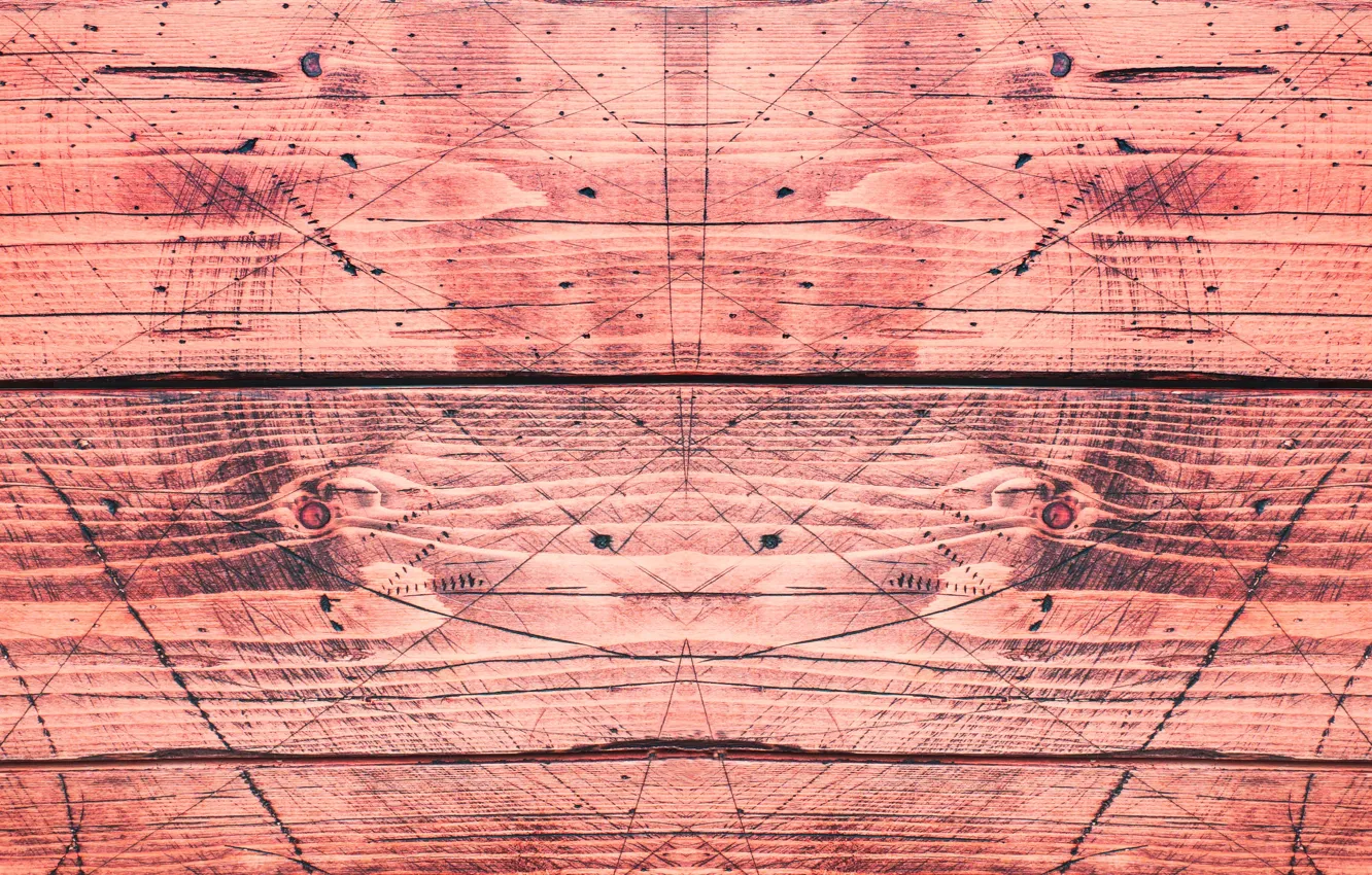 Photo wallpaper trees, line, geometry