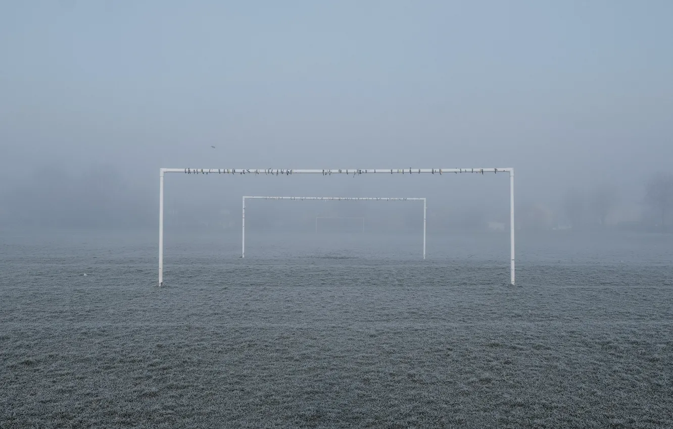 Photo wallpaper field, fog, football, gate