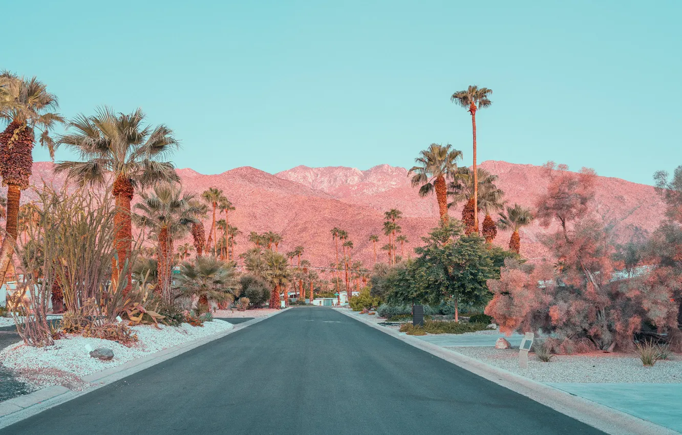 Photo wallpaper road, mountains, palm trees, street, ONCE UPON A TIME IN CALIFORNIA
