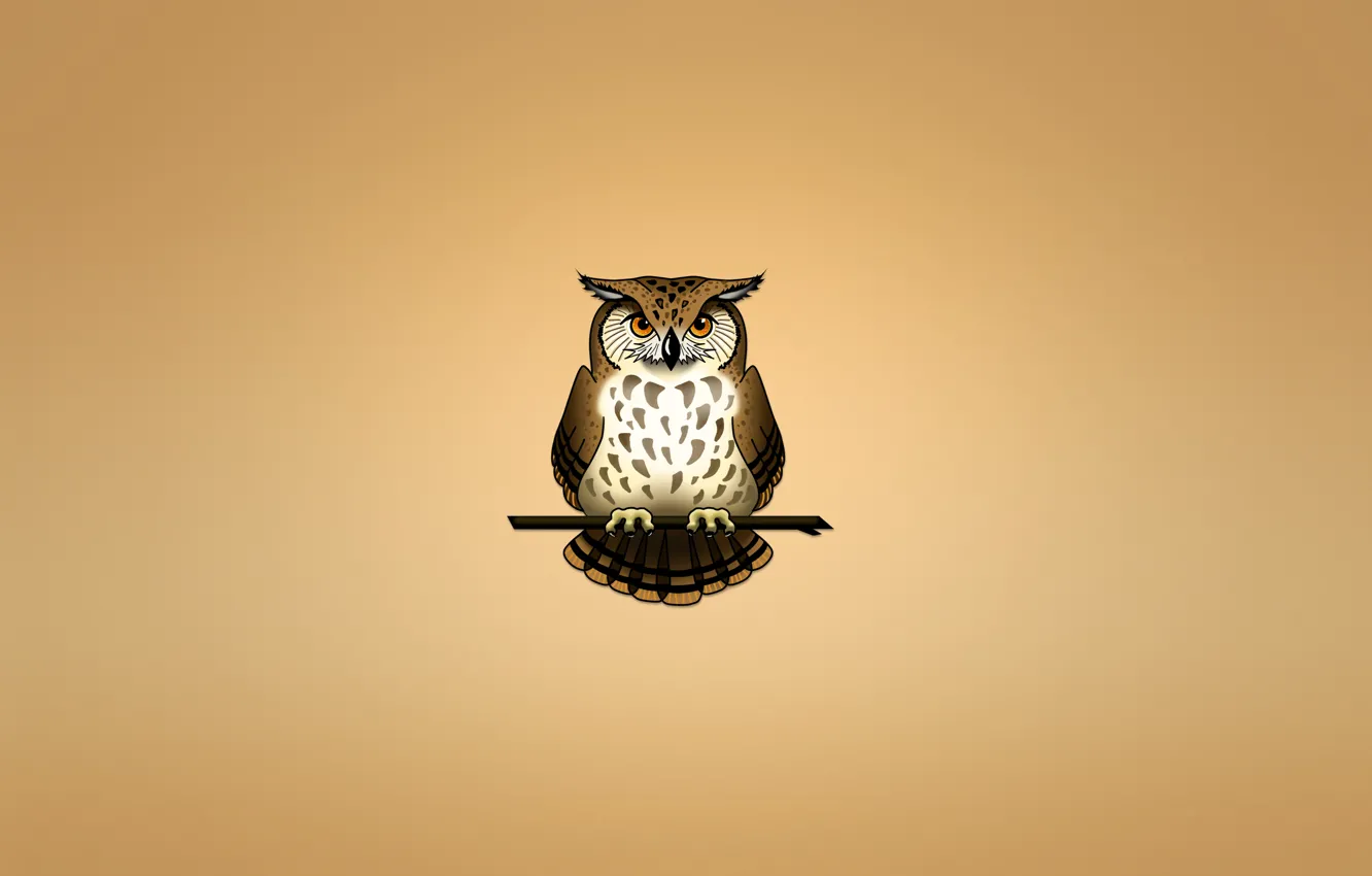 Photo wallpaper owl, bird, branch, light background, owl
