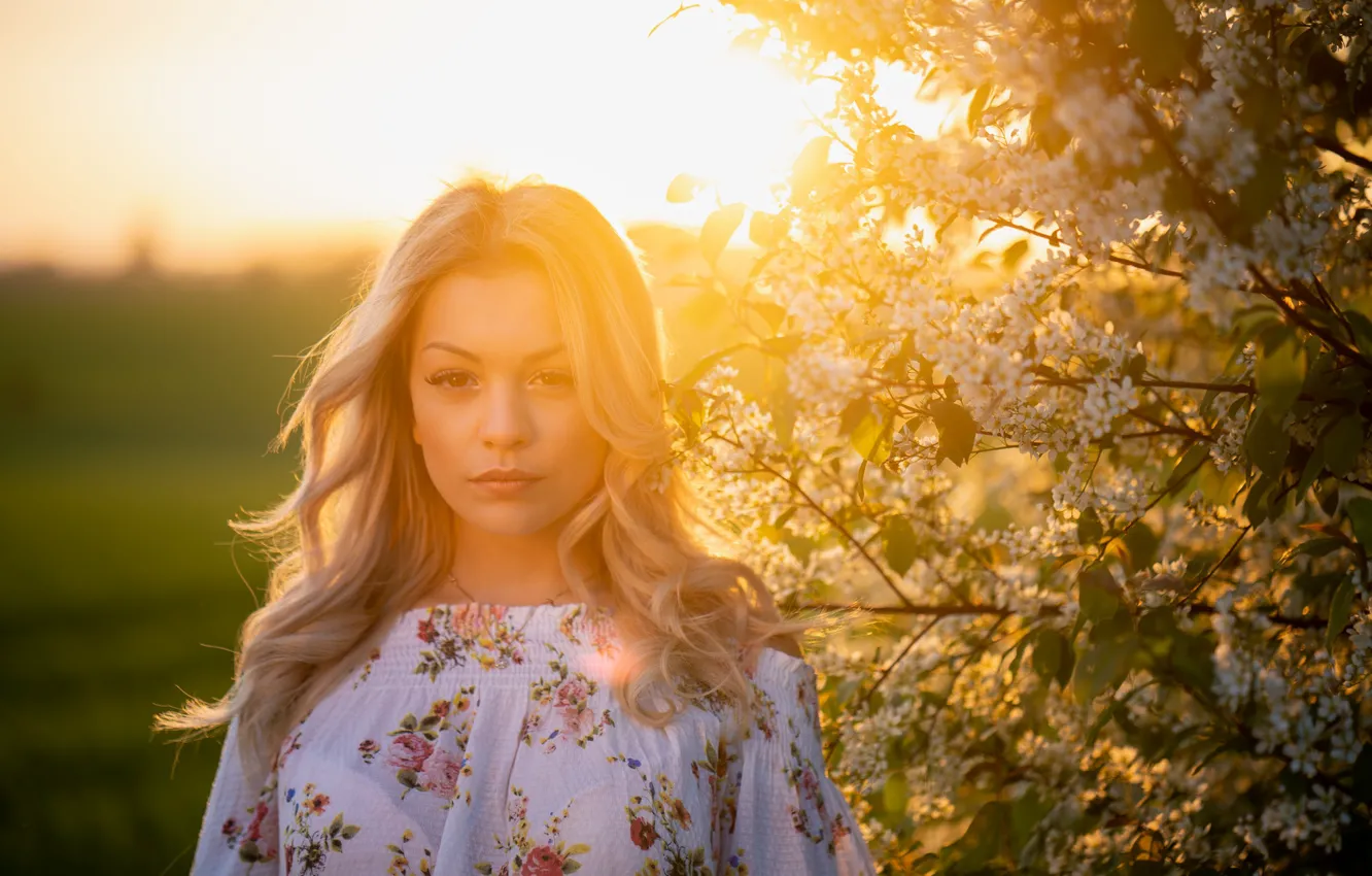 Photo wallpaper face, background, hair, rays of light, Sofia, Martin Ecker