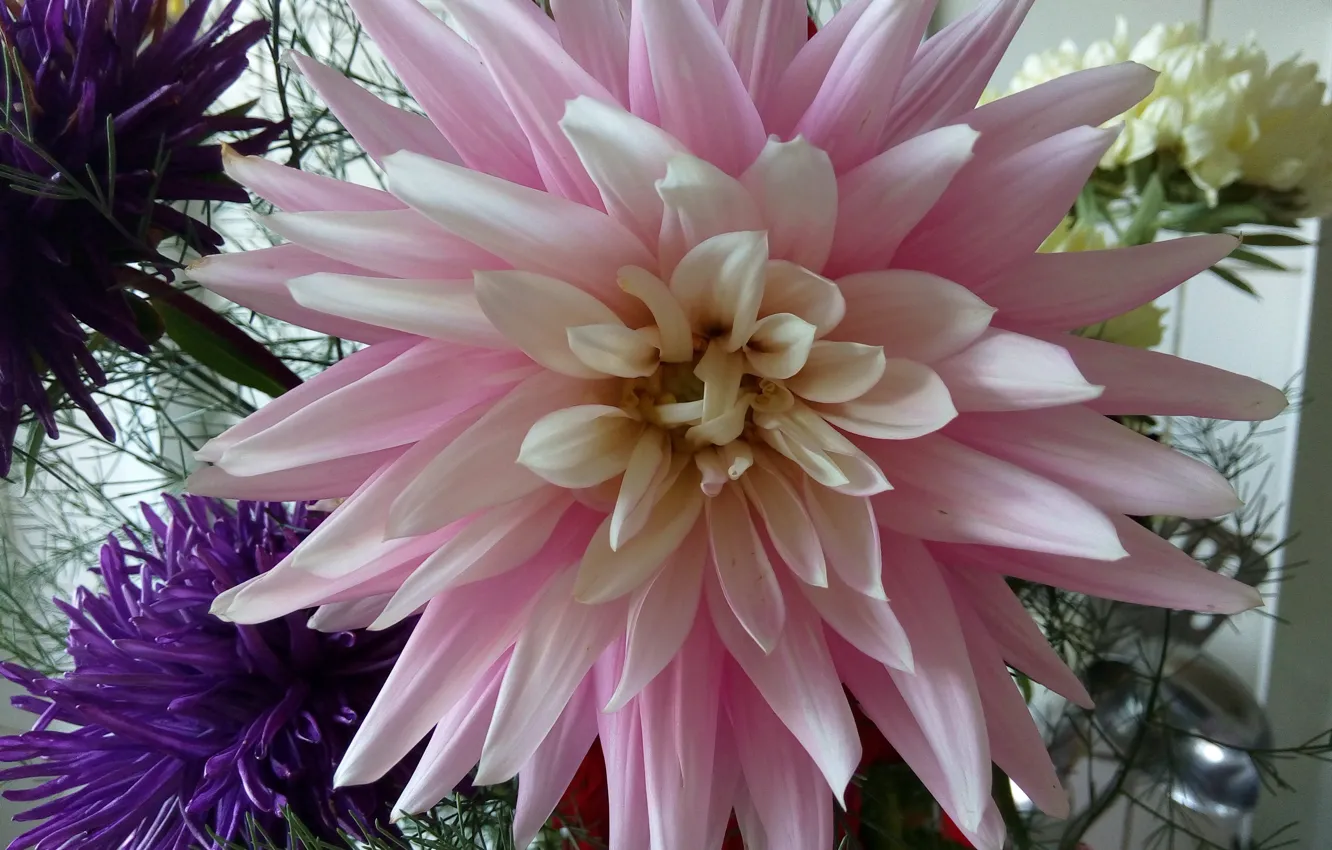 Photo wallpaper flowers, bouquet, asters