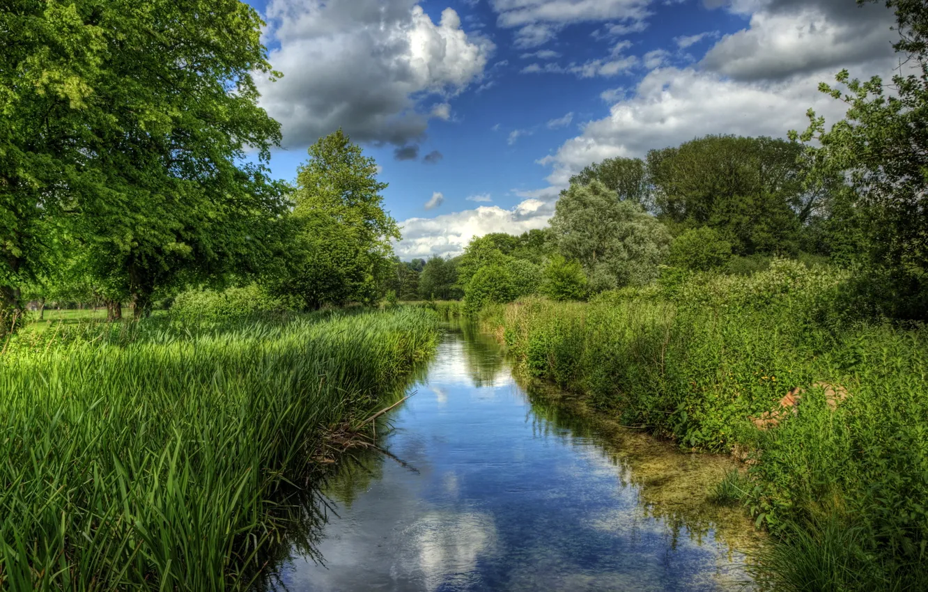 Photo wallpaper grass, nature, river, photo, England, Winchester, Itchen