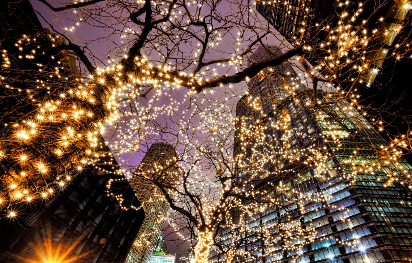 Photo wallpaper light, trees, the city, lights, building, skyscrapers, the evening, lighting