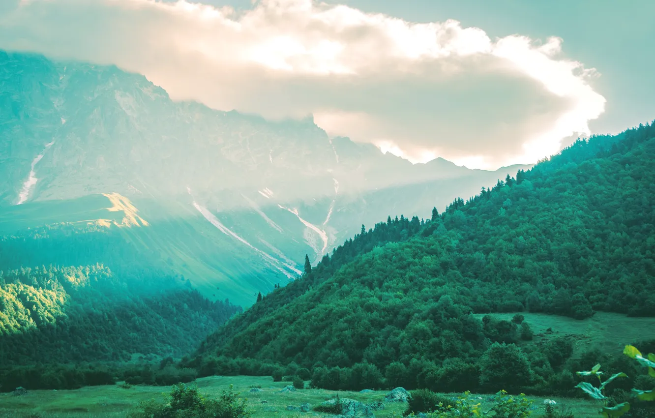 Photo wallpaper forest, clouds, mountains
