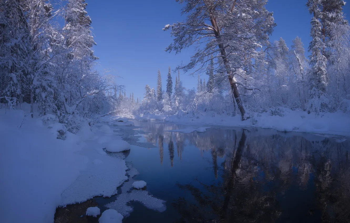 Photo wallpaper winter, forest, water, snow, landscape, nature, The Kola Peninsula