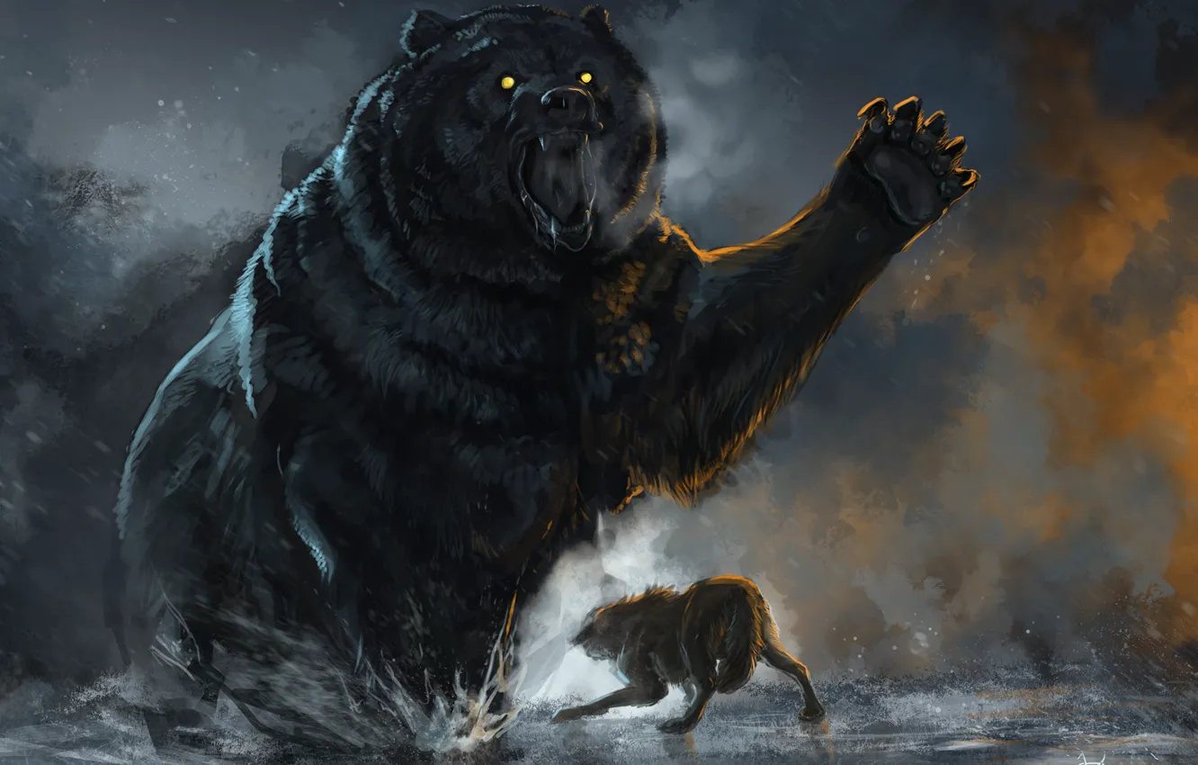 Photo wallpaper Battle, Bear, Wolf