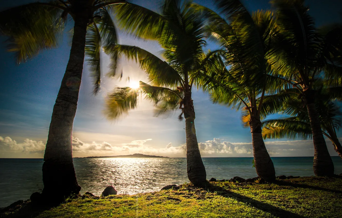 Photo wallpaper sea, the sky, the sun, clouds, tropics, palm trees, coast, horizon