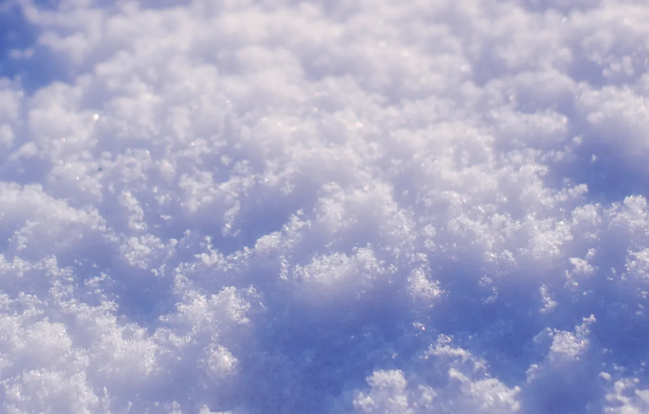 Photo wallpaper white, winter, snow, cold