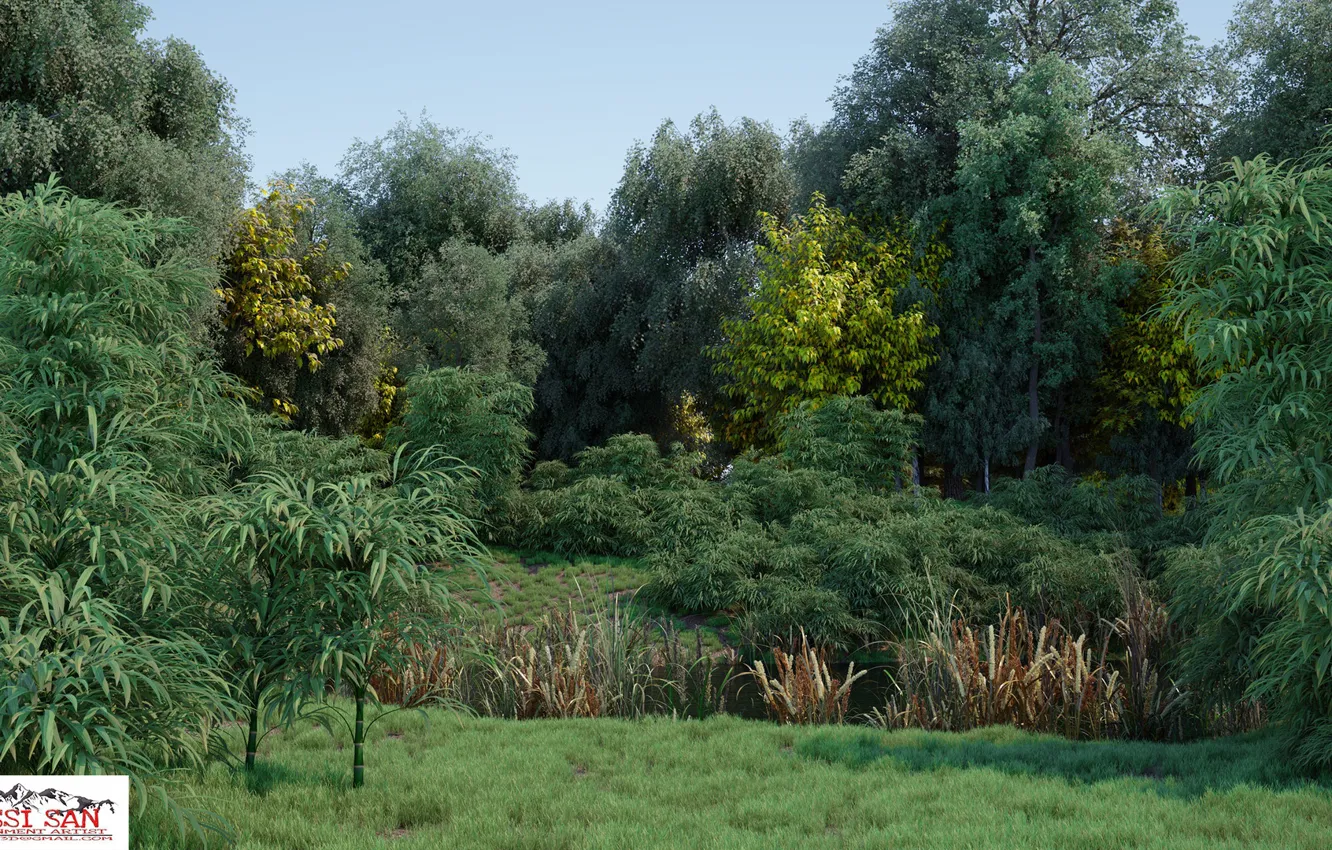 Photo wallpaper summer, nature, vegetation, the ravine, the pond