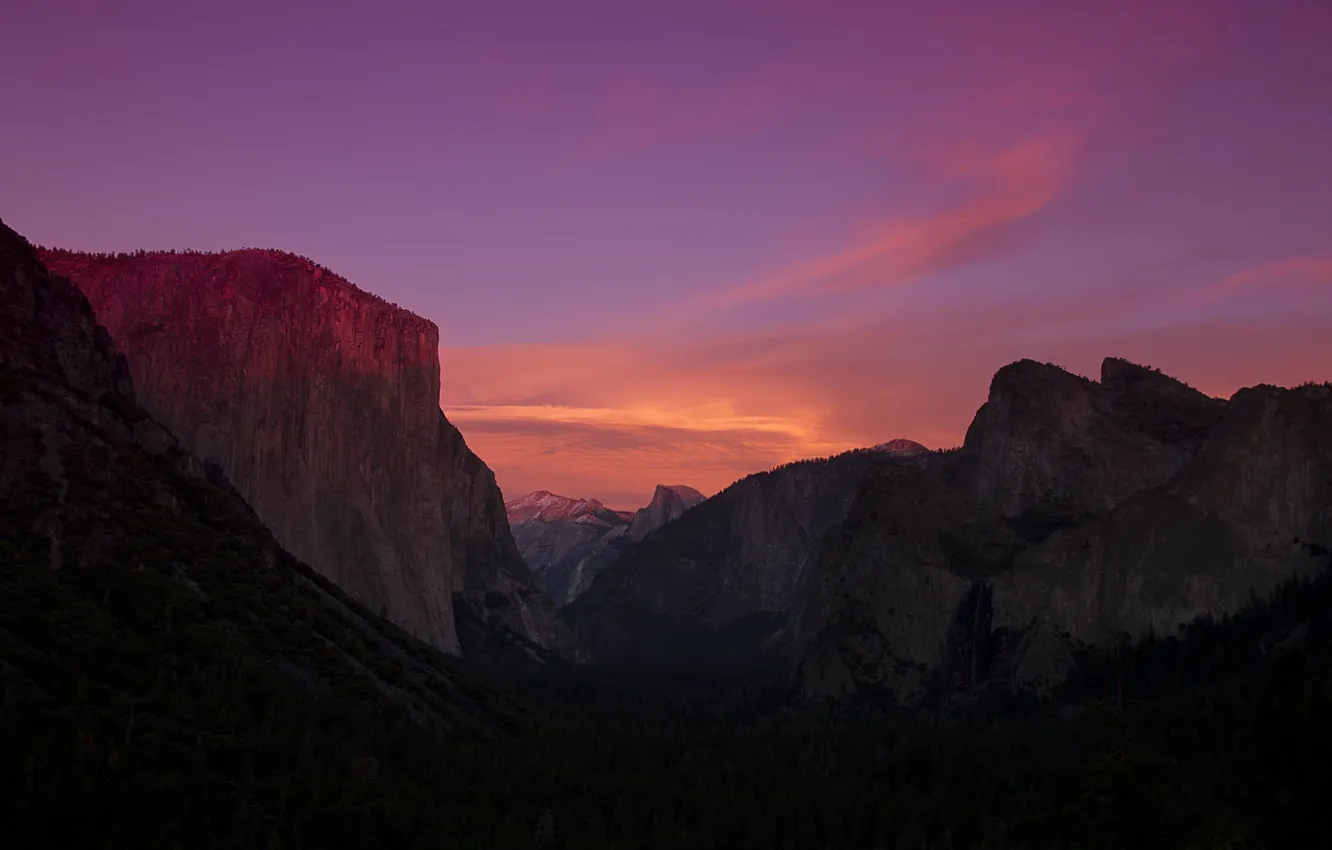 Photo wallpaper forest, trees, dawn, valley, CA, California, Yosemite national Park, Yosemite National Park