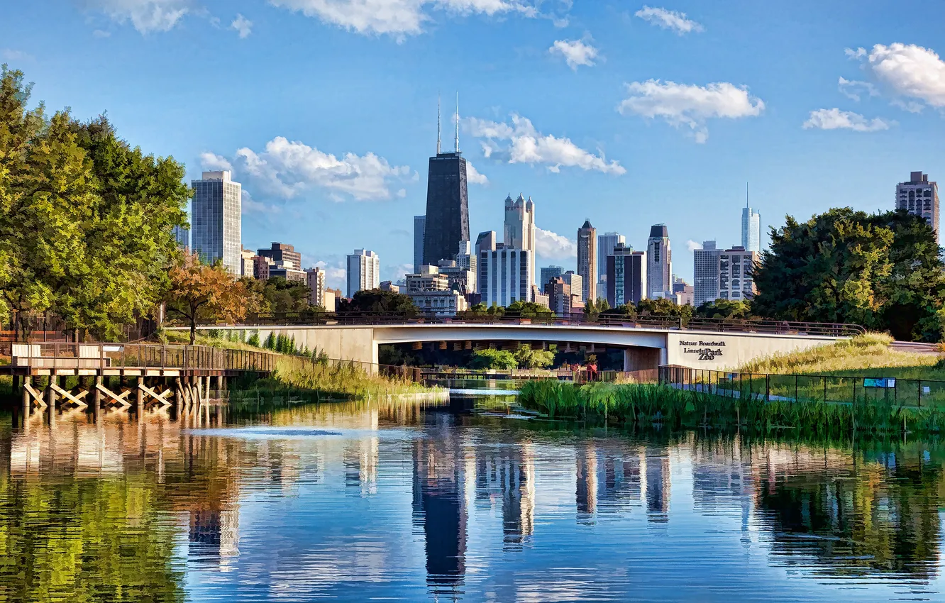 Photo wallpaper trees, bridge, river, home, skyscrapers, USA, Chicago, zoo