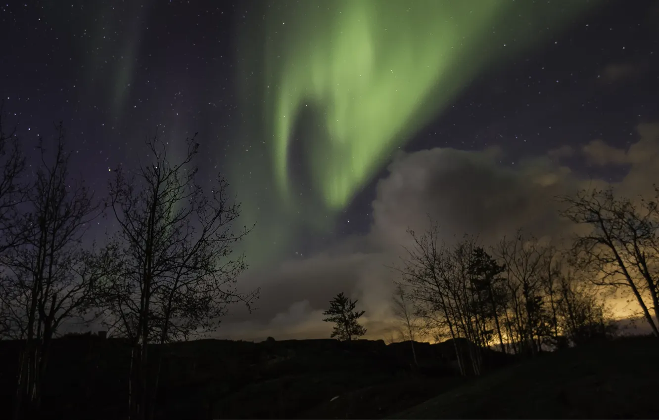 Photo wallpaper the sky, stars, trees, night, Northern lights