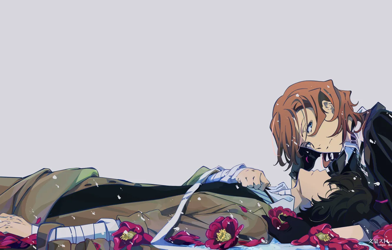 Photo wallpaper guy, Chewie, Bungou Stray Dogs, Dazai Osamu