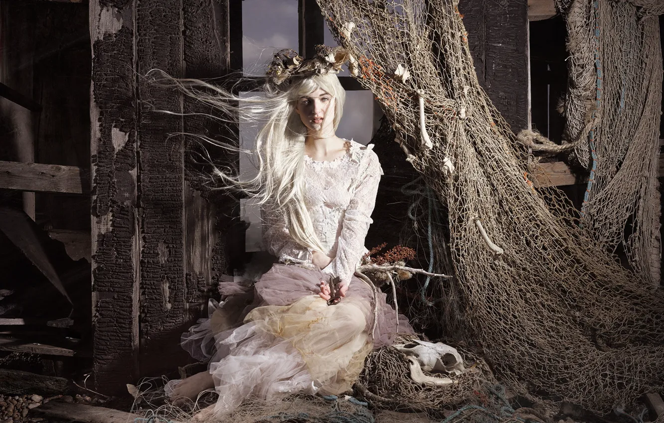 Photo wallpaper girl, background, network