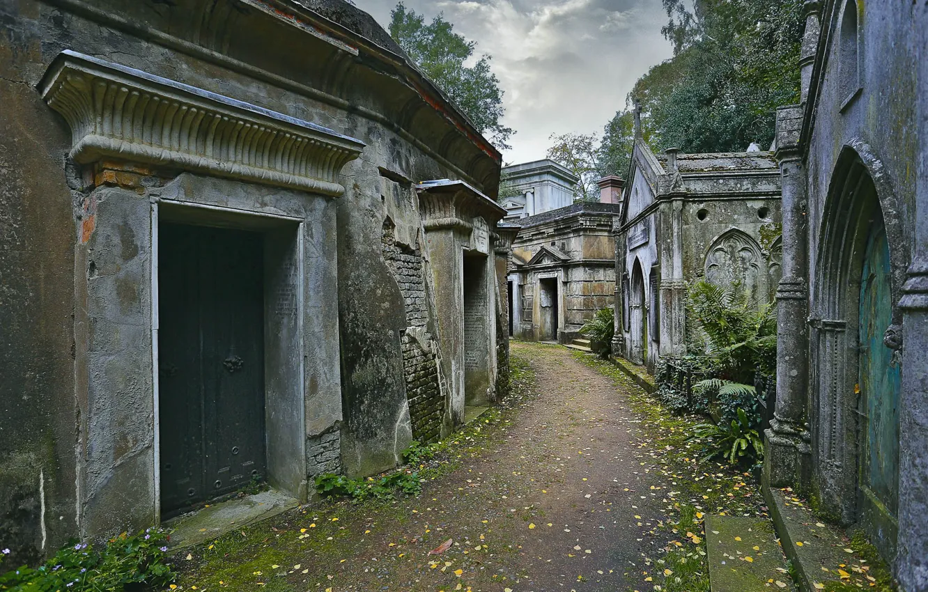 Photo wallpaper cemetery, architecture, path, London, England, Highgate Cemetery