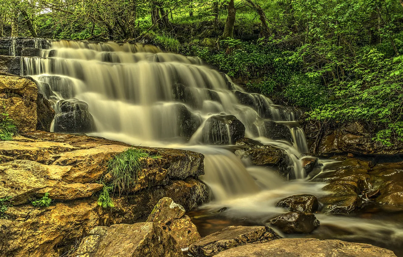 Photo wallpaper forest, trees, river, stones, rocks, waterfall, stream, cascade