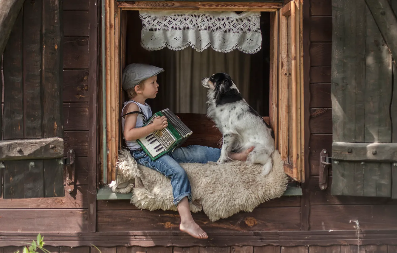 Photo wallpaper dog, boy, window, skin, cap, friends, accordion