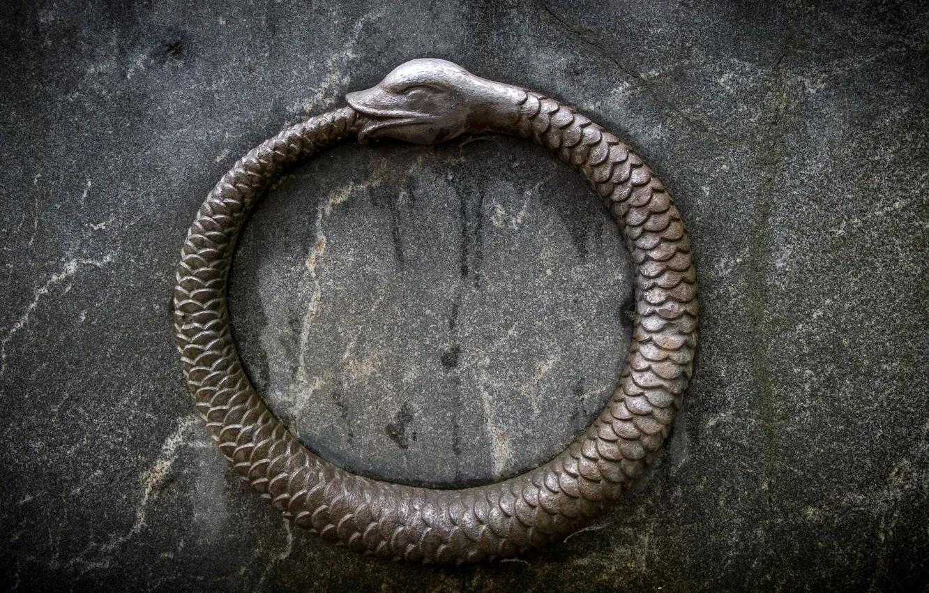 Photo wallpaper snake, texture, sign, tail, symbol, serpent, hermeticism, alchemical