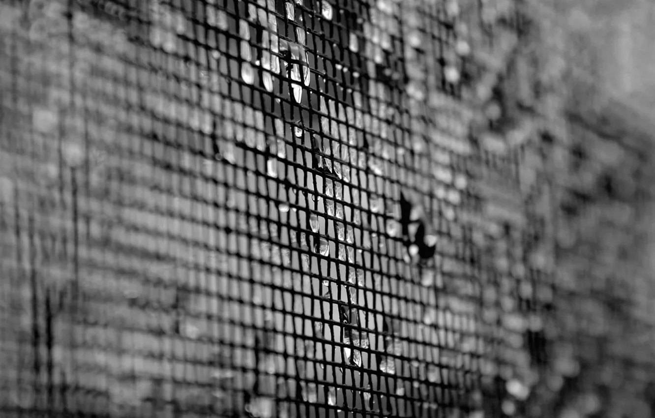 Photo wallpaper drops, mesh, white, texture, blur, black, texture, 1920x1200