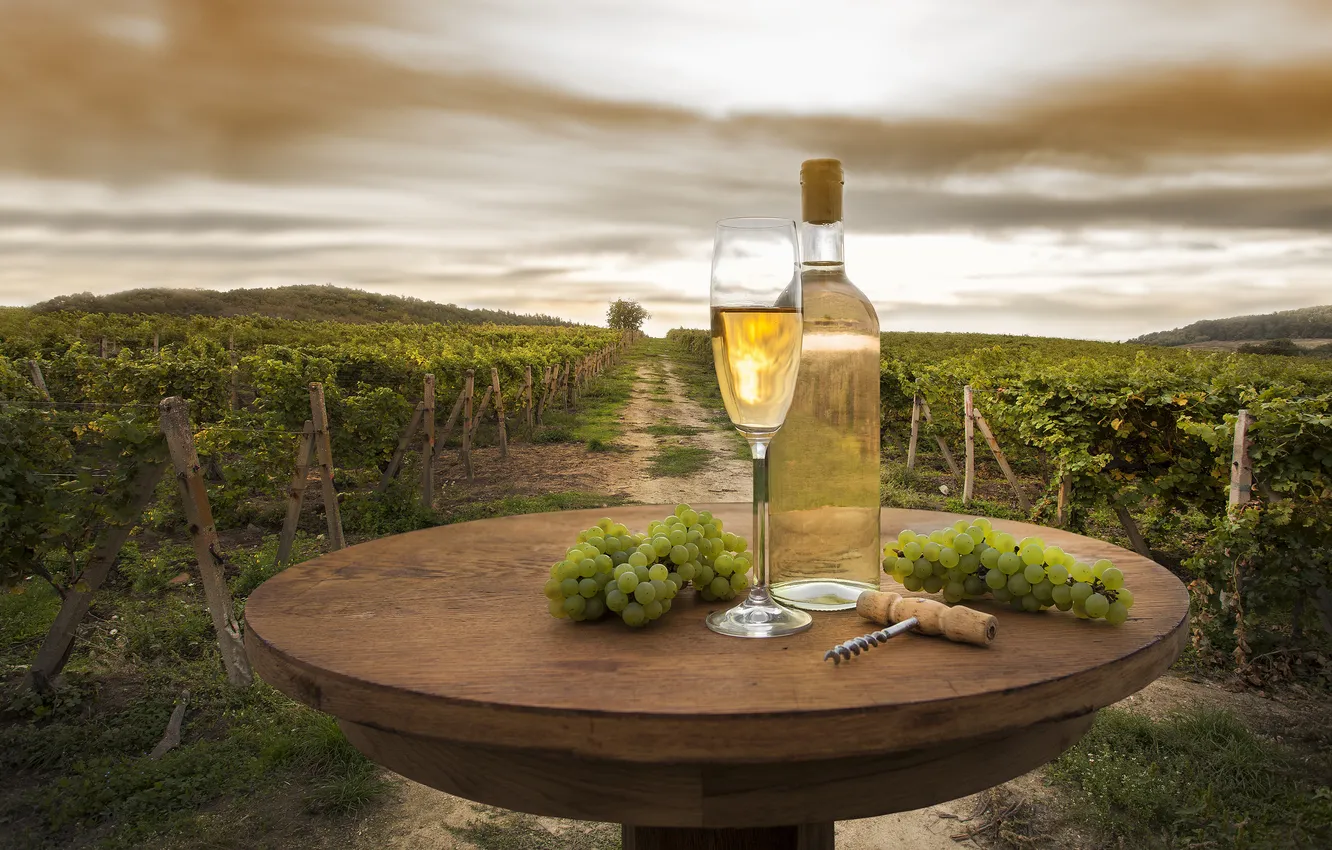 Photo wallpaper field, landscape, green, wine, glass, bottle, grapes, vineyard