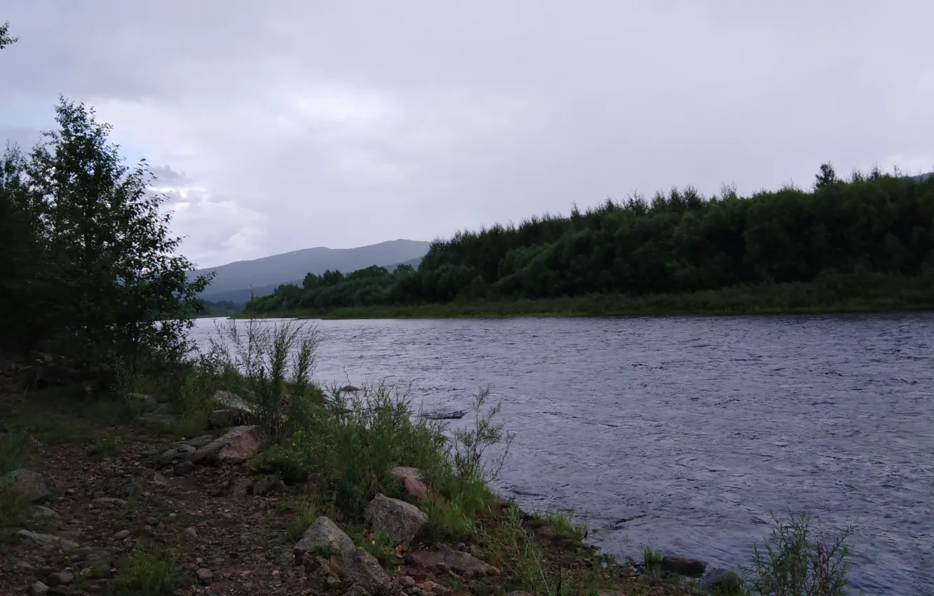 Photo wallpaper forest, mountains, rain, Ingoda River