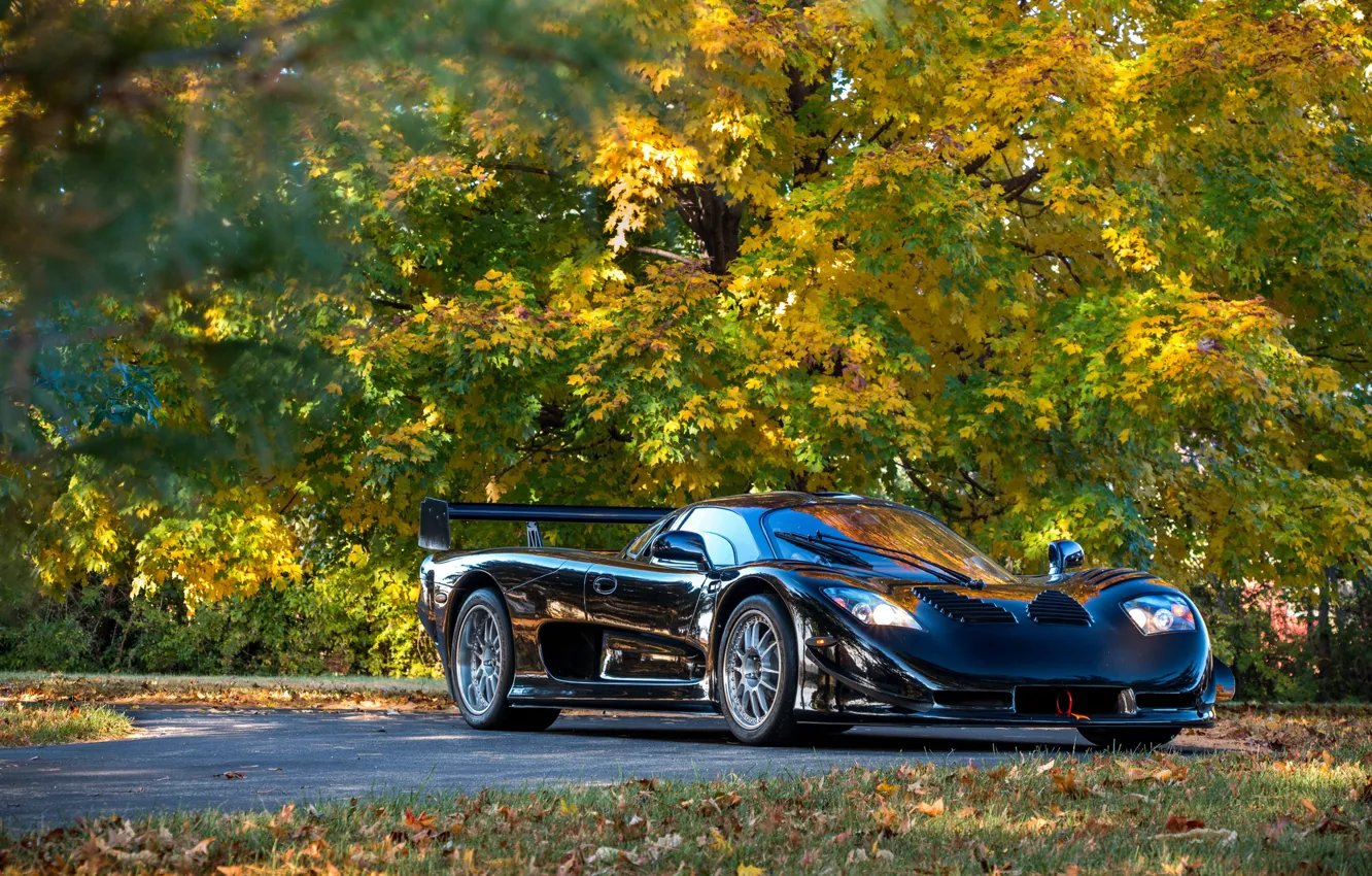 Photo wallpaper black, autumn, mosler, mt900s