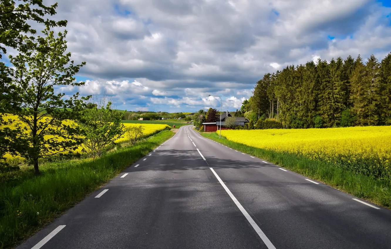 Photo wallpaper road, field, forest, the sky, clouds, trees, landscape, nature